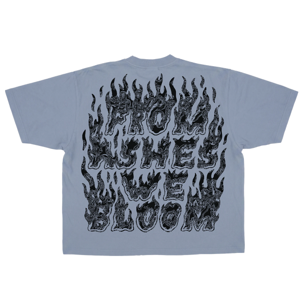 Ashes Flames