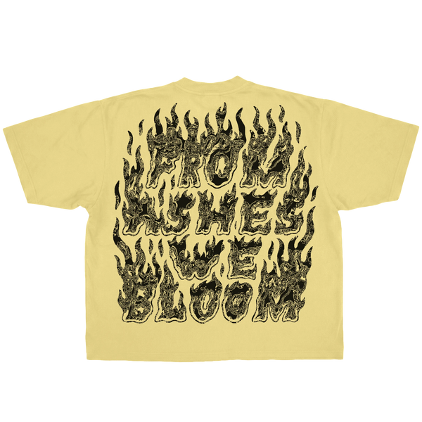 Ashes Flames