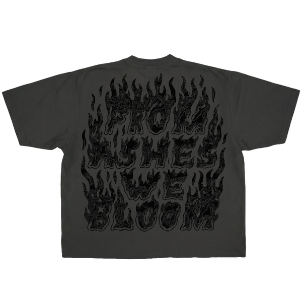 Ashes Flames