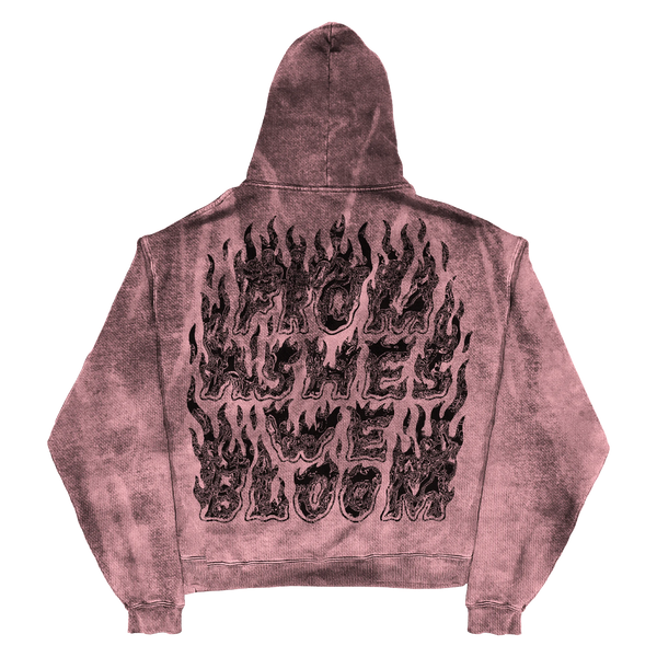 Ashes Flames