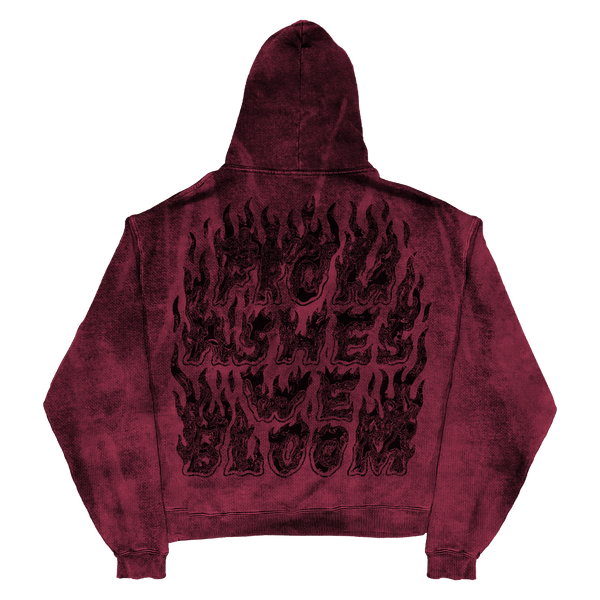Ashes Flames