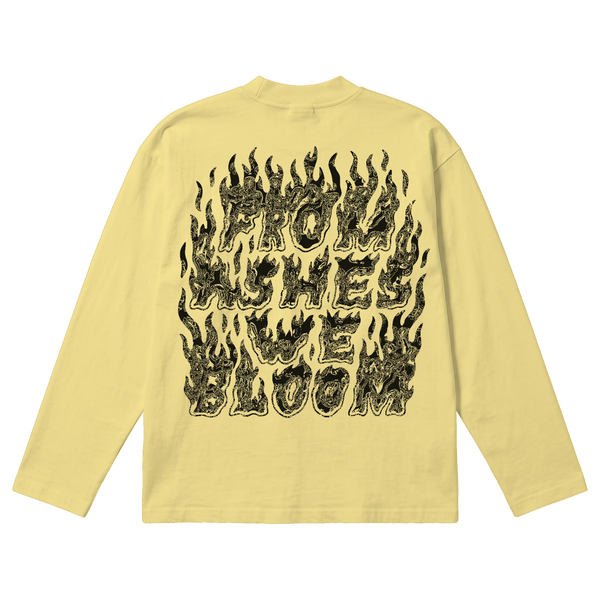 Ashes Flames