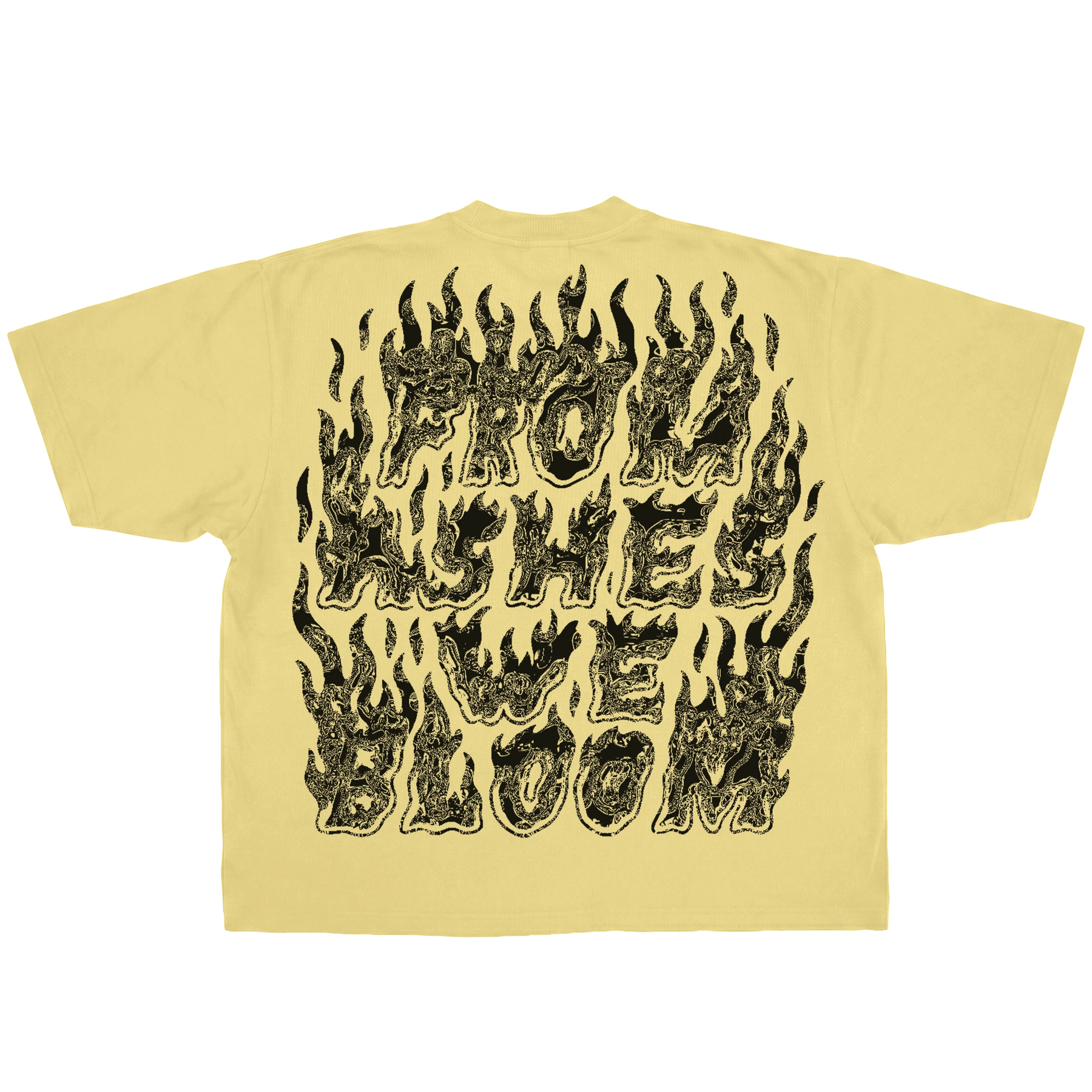 Ashes Flames