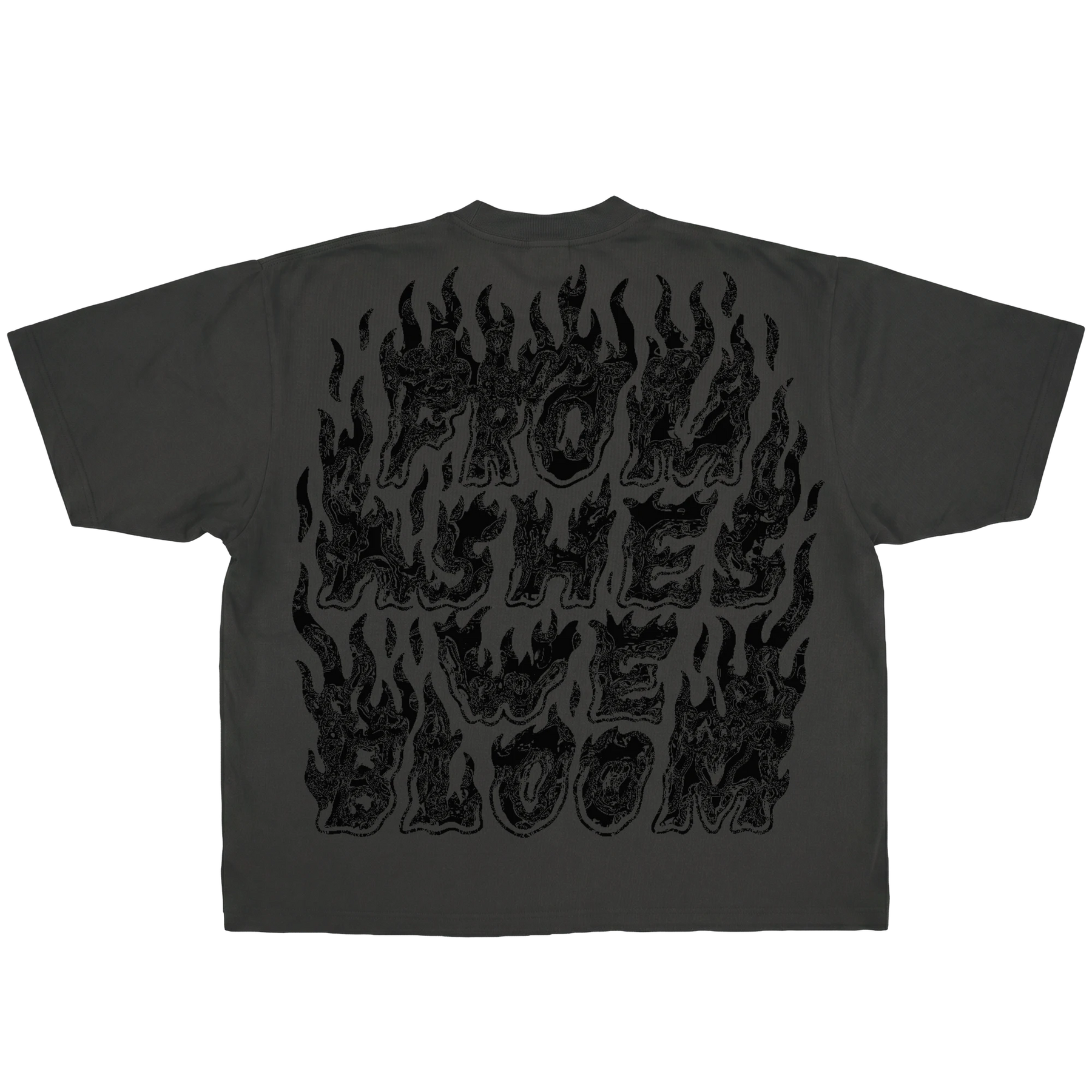 Ashes Flames