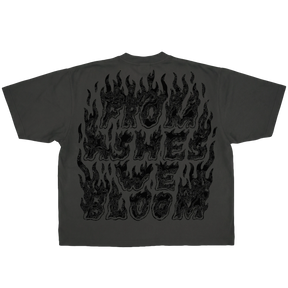 Ashes Flames