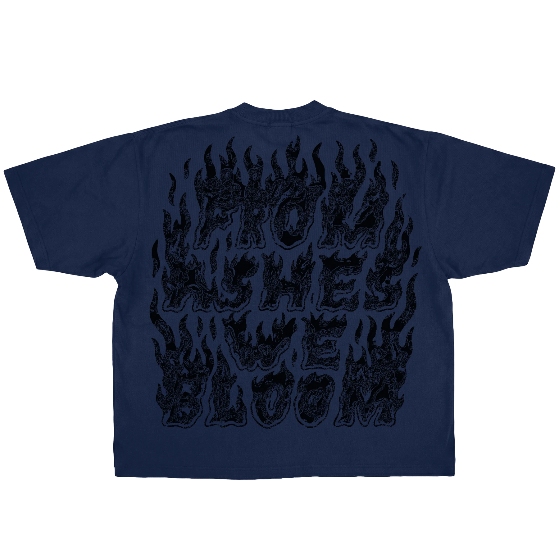 Ashes Flames