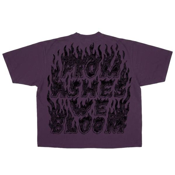 Ashes Flames