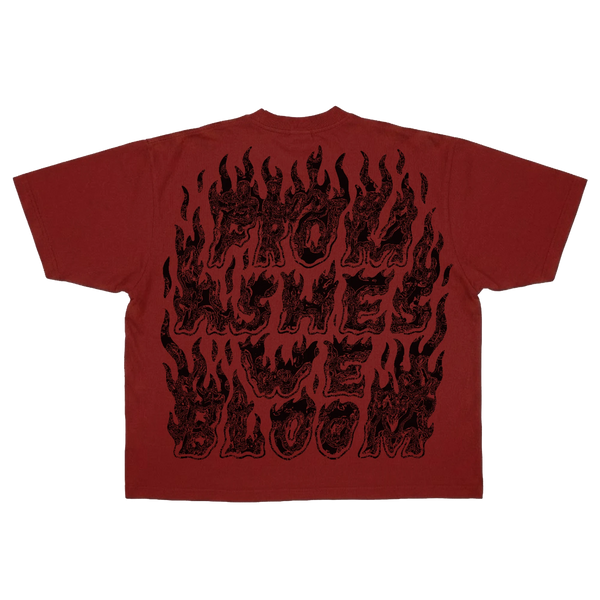 Ashes Flames