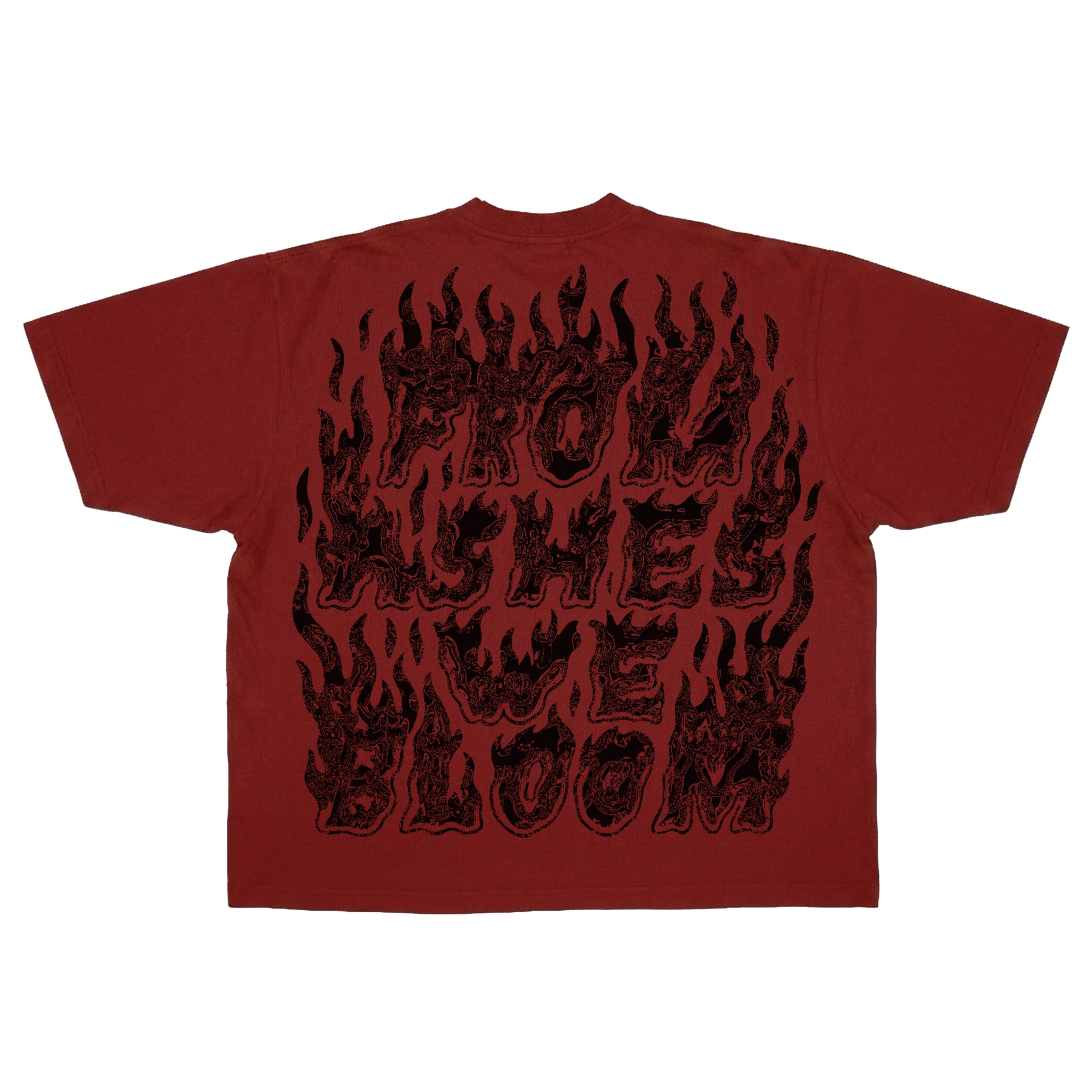 Ashes Flames