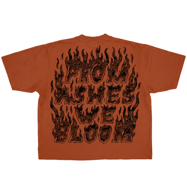 Ashes Flames