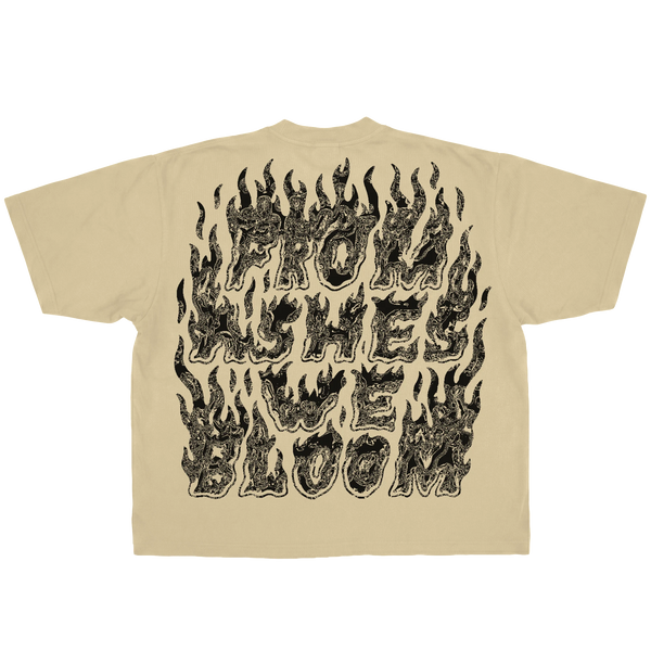 Ashes Flames