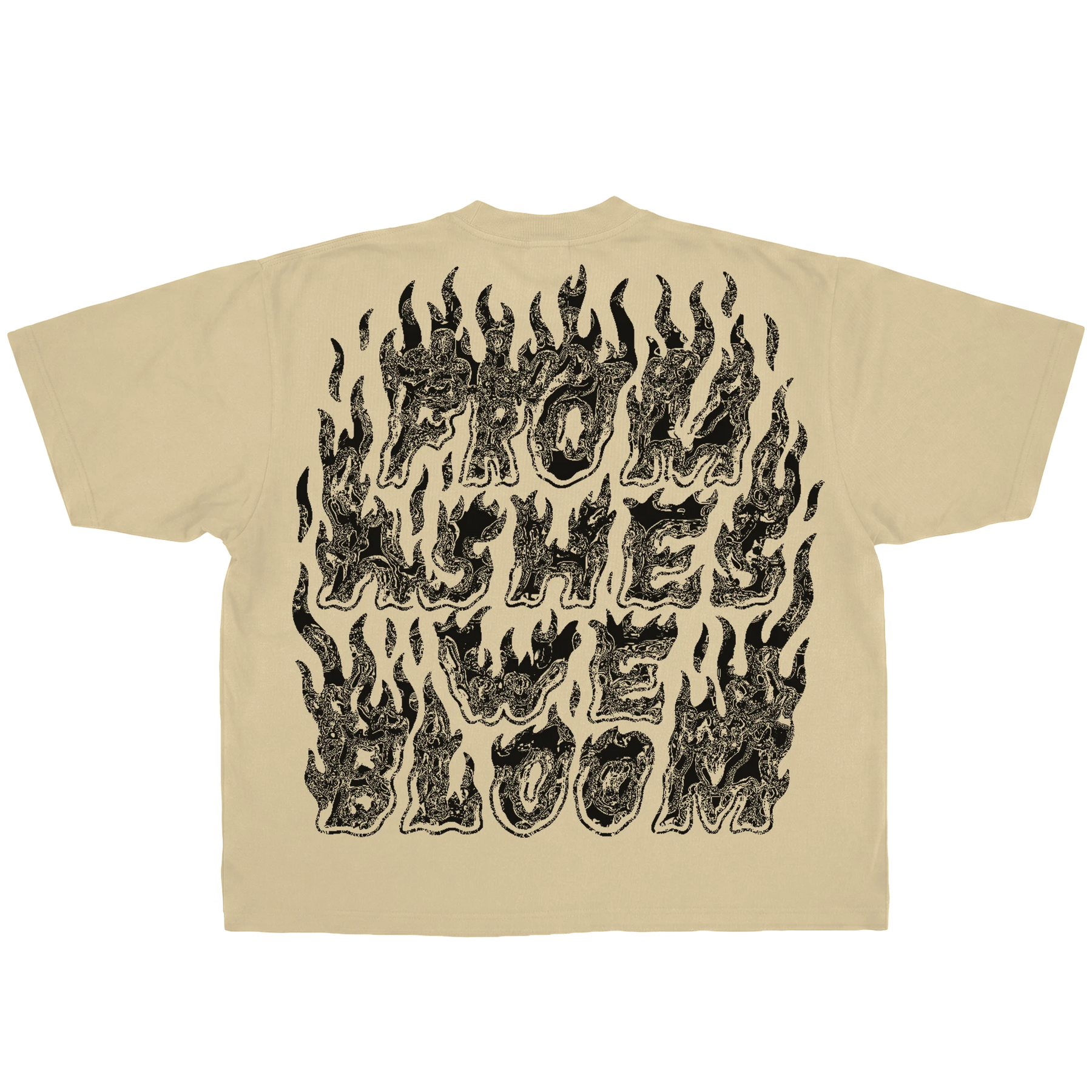 Ashes Flames
