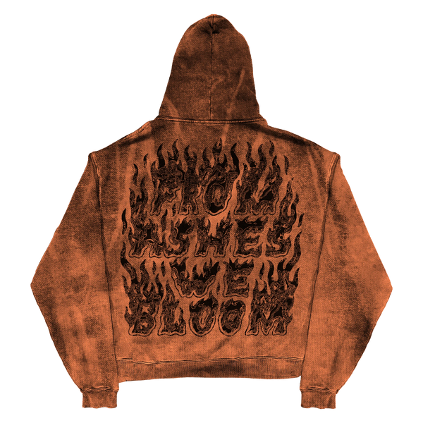Ashes Flames