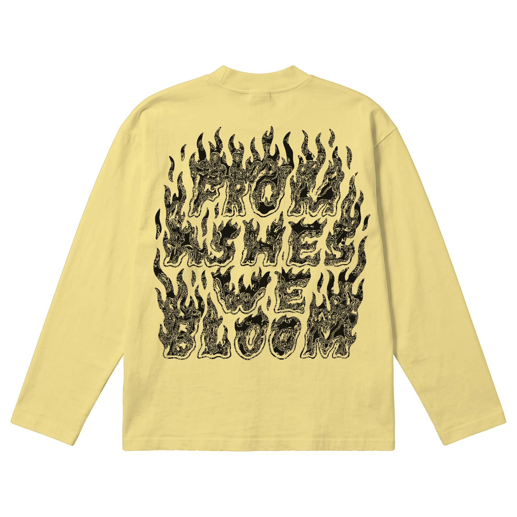 Ashes Flames