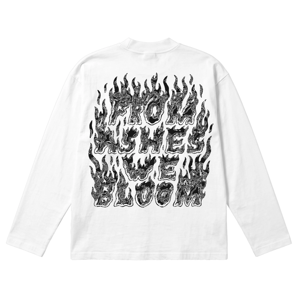 Ashes Flames